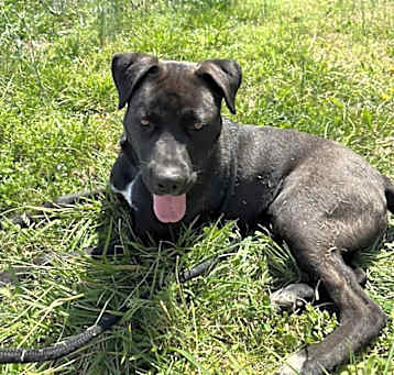 Photo of Blu