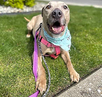Photo of Little Mama