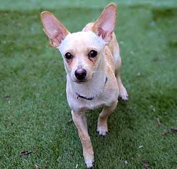 Photo of Wilbur A826