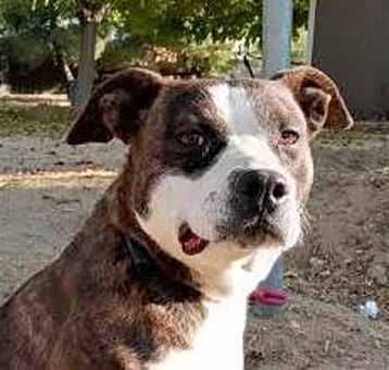 Photo of CHARM