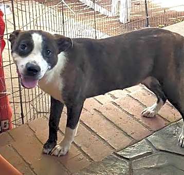 Photo of CHARM