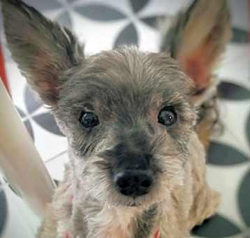 Photo of Sylvie