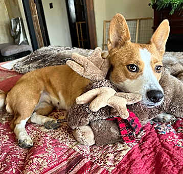 Photo of Betsy