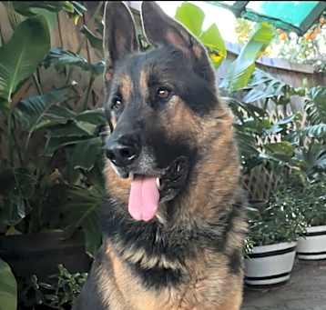 Photo of Bobby