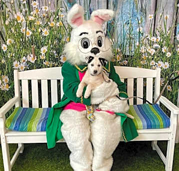 Photo of Tucker