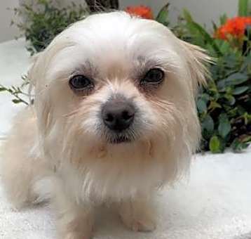 Photo of HALLIE
