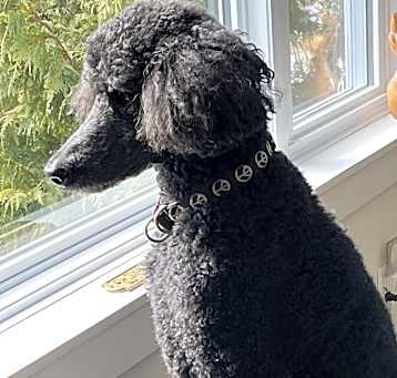 Photo of Kero