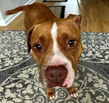 Photo of Camper