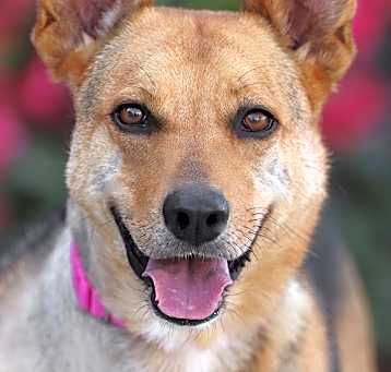 Photo of Layla von Cochem