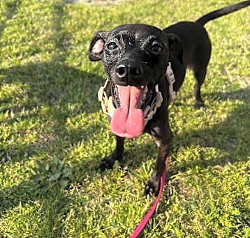 Photo of Delilah