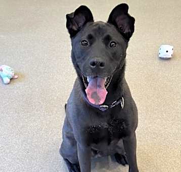 Photo of Bubba