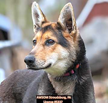 Photo of Resica