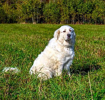 Photo of WYNTER in NH