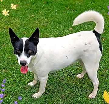 Photo of Margo