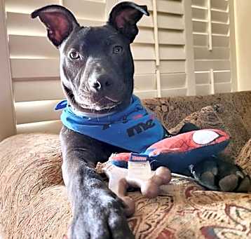 Photo of ROSCO