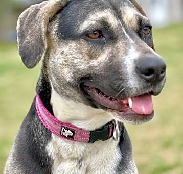 Photo of WHISPER