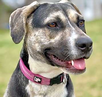 Photo of WHISPER