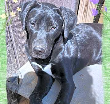 Photo of Frannie