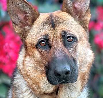 Photo of Xena von Ziesar