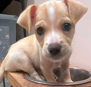 Photo of Macy