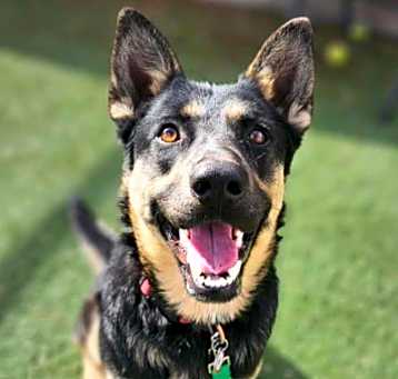 Photo of Elsa