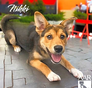 Photo of Nikki