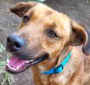 Photo of FELIZ (Mexico) yo