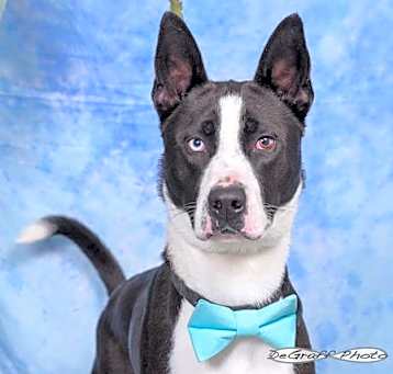 Photo of Waldo