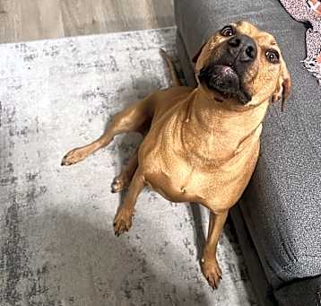 Photo of Leia