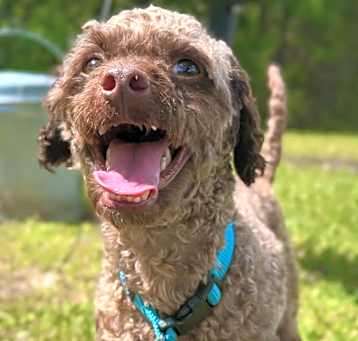 Photo of Churro