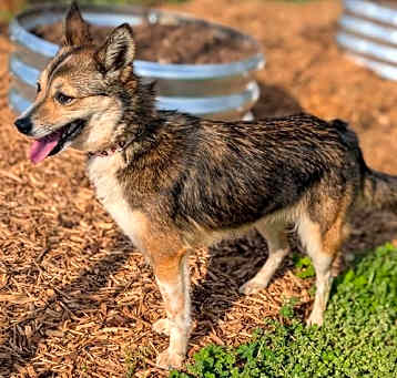 Photo of Machi