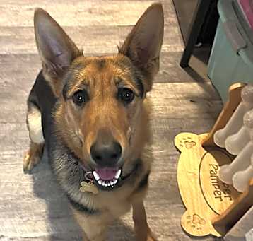 Photo of Osa