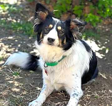 Photo of Elsa