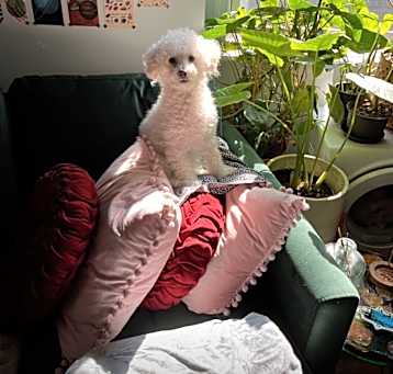 Photo of Dolly Pawton