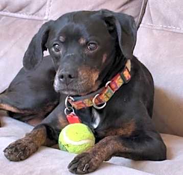 Photo of Mylee