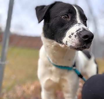 Photo of Rosco