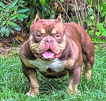 Photo of Kenzo