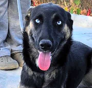 Photo of CHAI