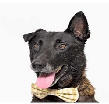 Photo of Lex