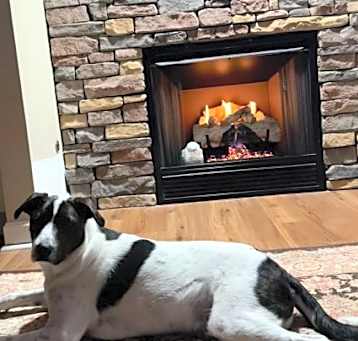 Photo of Hank