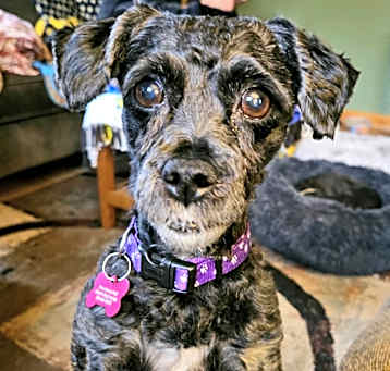 Photo of Missy Jo