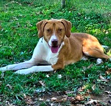 Photo of Doug
