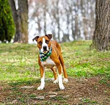 Photo of Cisco