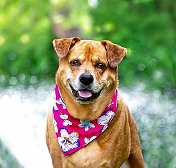 Photo of Remy