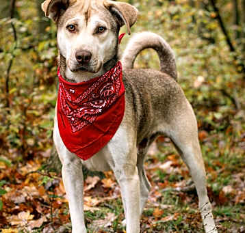 Photo of Charley