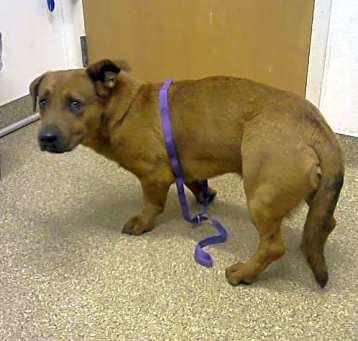 Photo of SLINKY