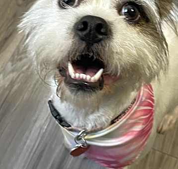 Photo of Zoey