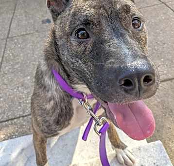 Photo of Artemis