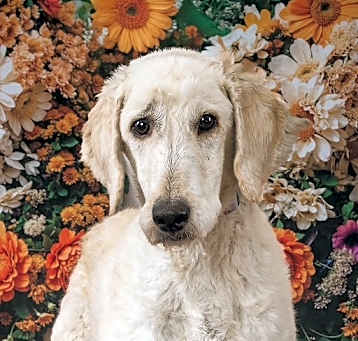 Photo of Baylin