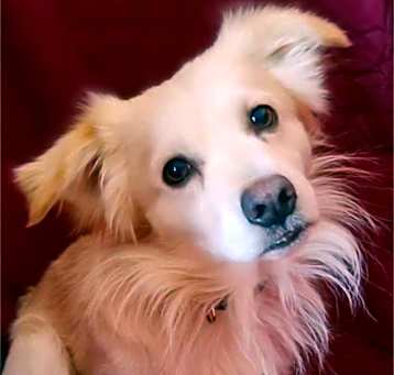 Photo of Angelo